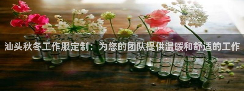 龙8国际手机版注册|汕头秋冬工作服定制:为您的团队提供温暖和舒适的工作