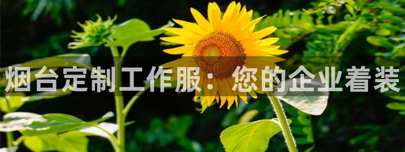 龙8游戏官方进入