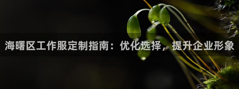 龙8国际手机游戏官网|海曙区工作服定制指南:优化选择,提升企业形象